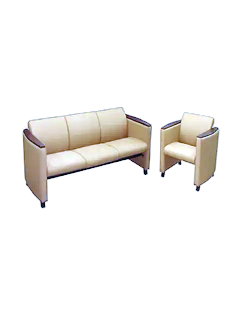 Foamy Sofa