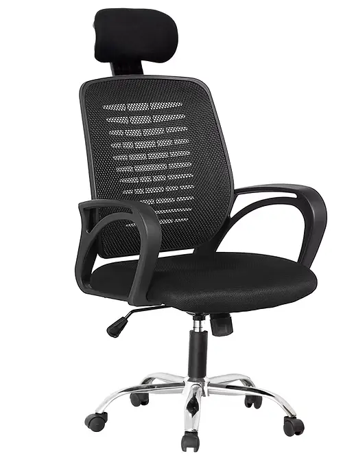 ErgoMesh Chair